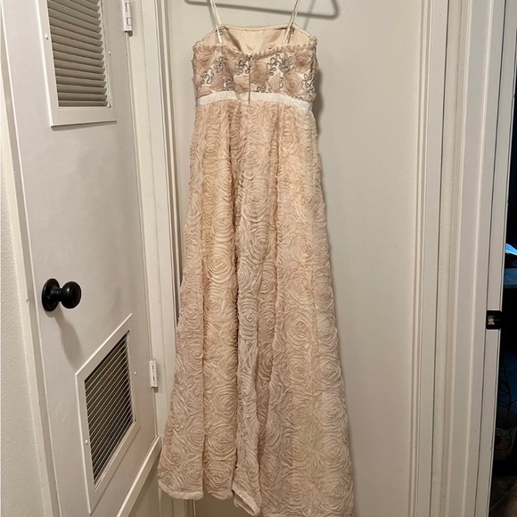 Blush rose gown - Adrianna Papell, size 8 - Picture 2 of 5